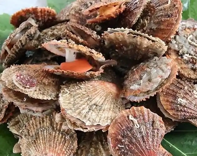 ΢�Ž�ͼ_20250218172008.jpg