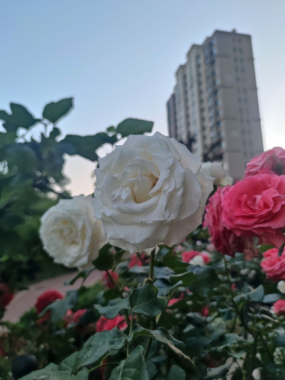 20250520194958front2_0_1693738_FtA2I8rFdZzx6x3RAEirPaFsprBi.jpg