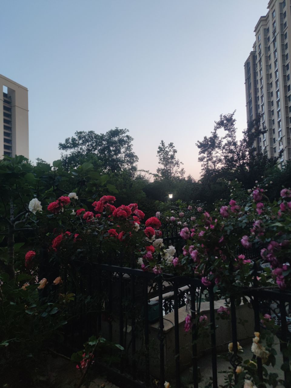 20250520194959front2_0_1693738_Fn76SbOguYIOjS2vO-oF8zEN9hc4.jpg