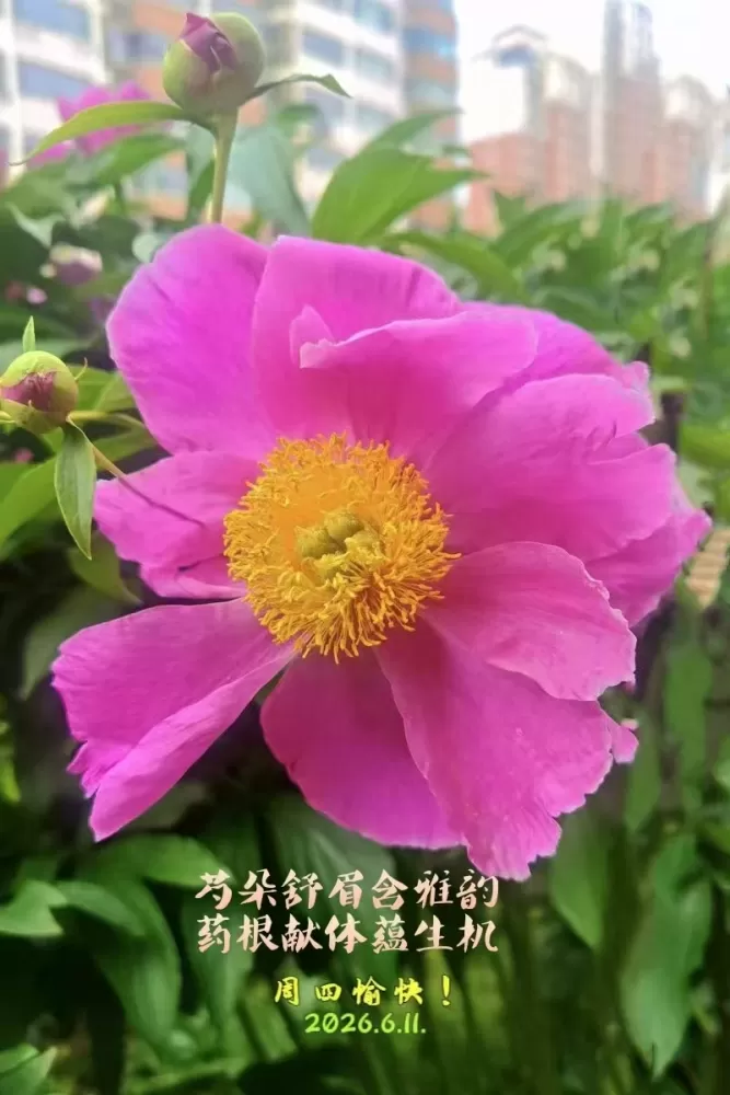 ΢��ͼƬ_20260611145811.webp