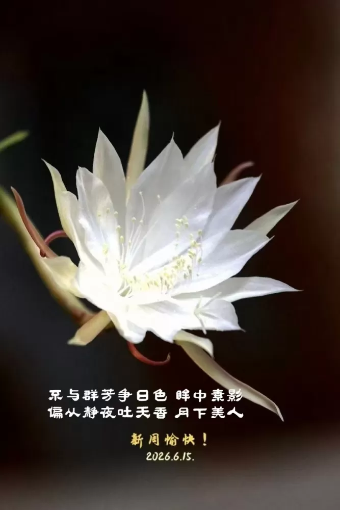 ΢��ͼƬ_20260615074527.webp