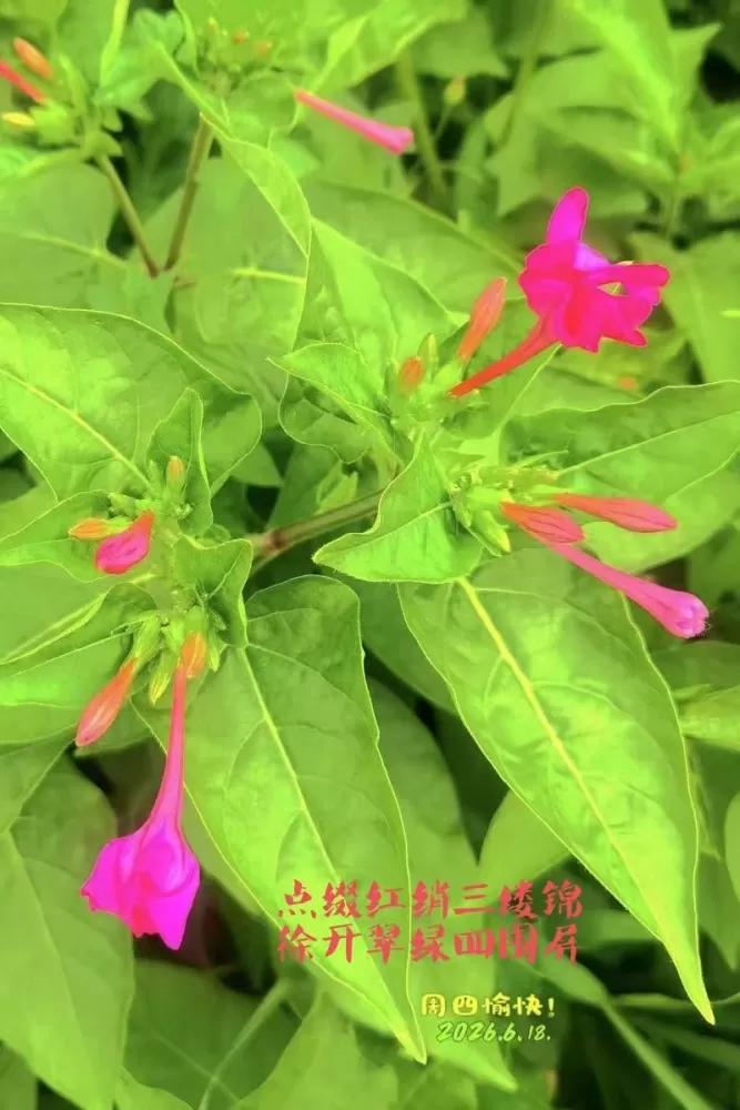 ΢��ͼƬ_20260618155253.webp
