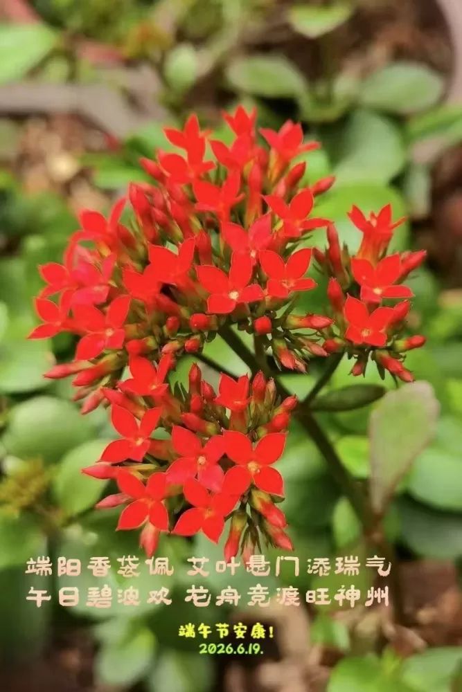 ΢��ͼƬ_20260619101139.webp