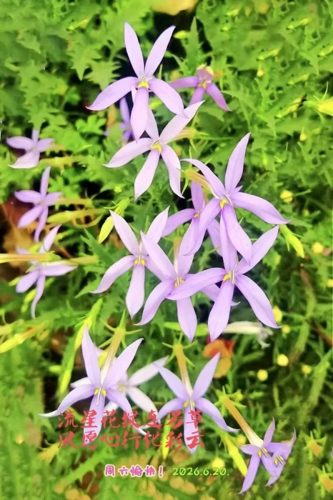 ΢��ͼƬ_20260620102810.webp