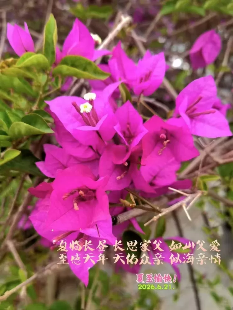 ΢��ͼƬ_20260621155854.webp