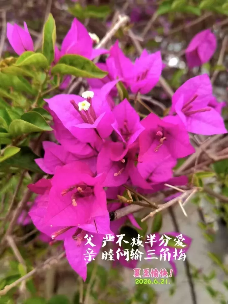 ΢��ͼƬ_20260621155819.webp