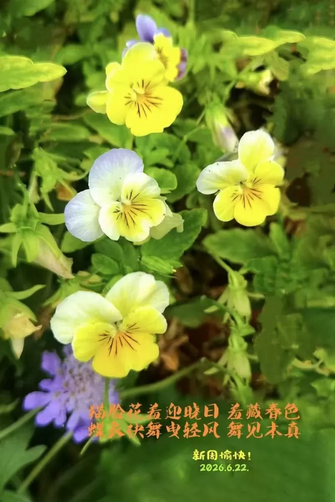 ΢��ͼƬ_20260622153637.webp