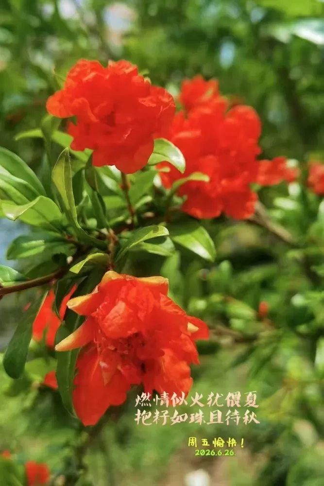 ΢��ͼƬ_20260626145418.webp