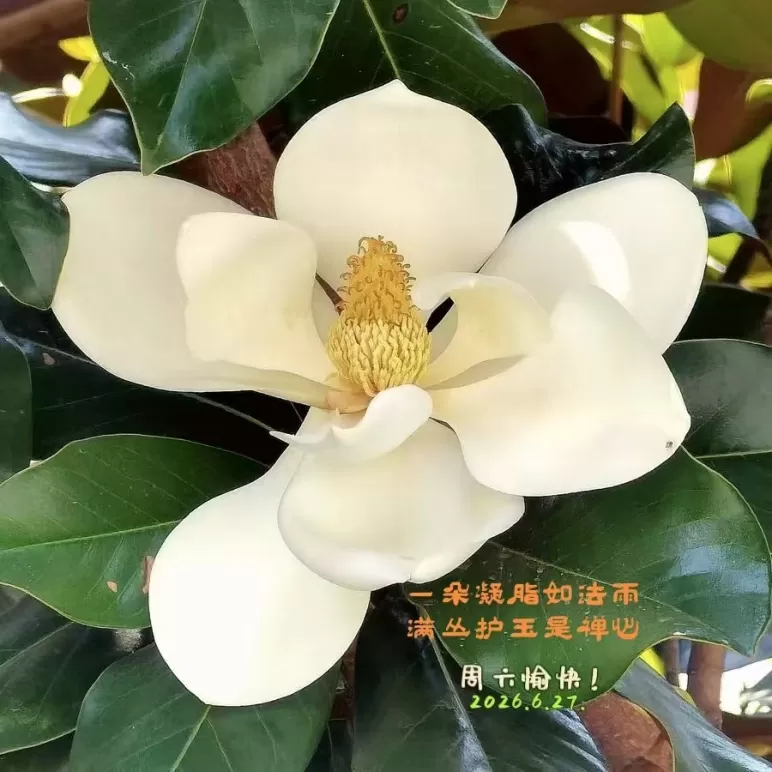 ΢��ͼƬ_20260627184430.webp