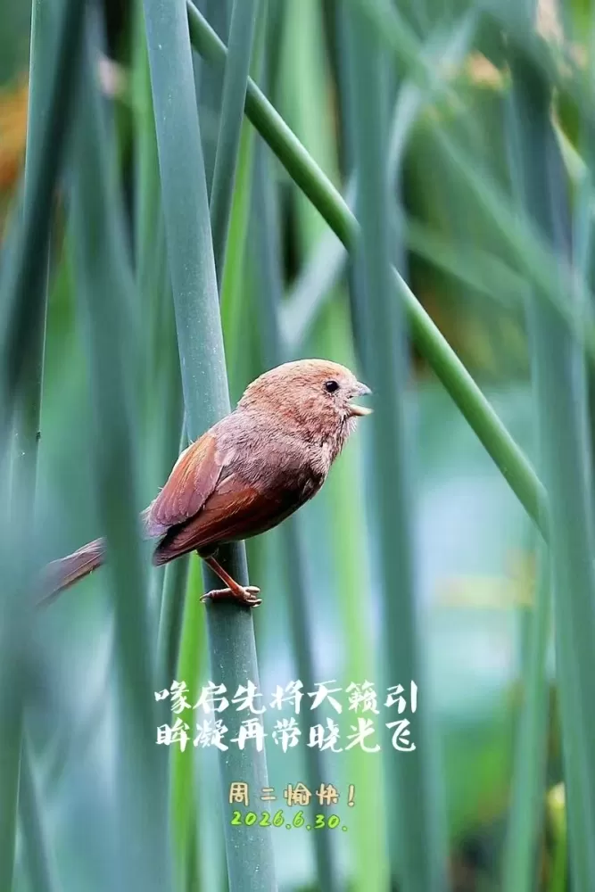 ΢��ͼƬ_20260630194708.webp