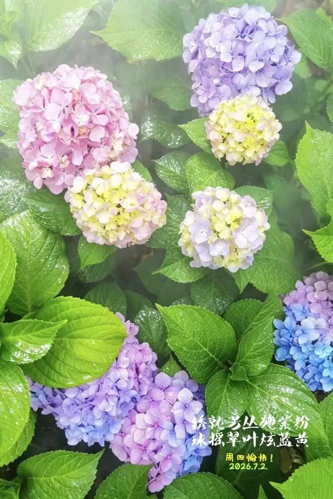 ΢��ͼƬ_20260702160555.webp
