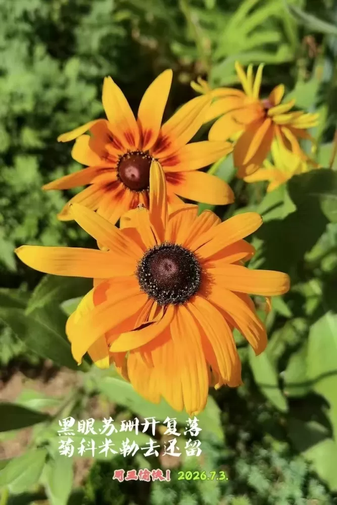 ΢��ͼƬ_20260703153225.webp