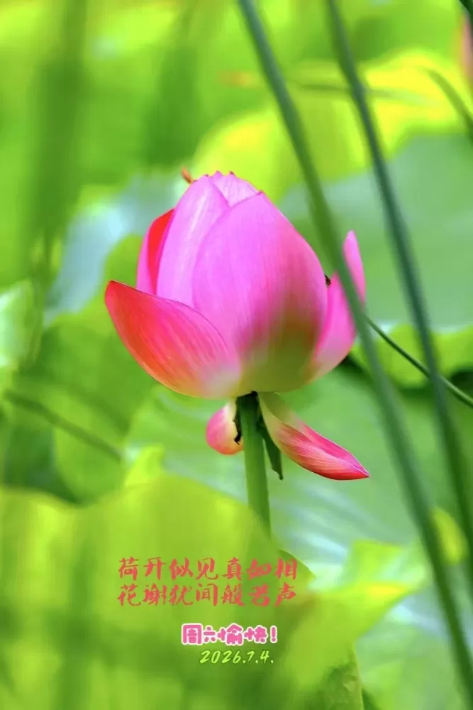 ΢��ͼƬ_20260704171419.webp