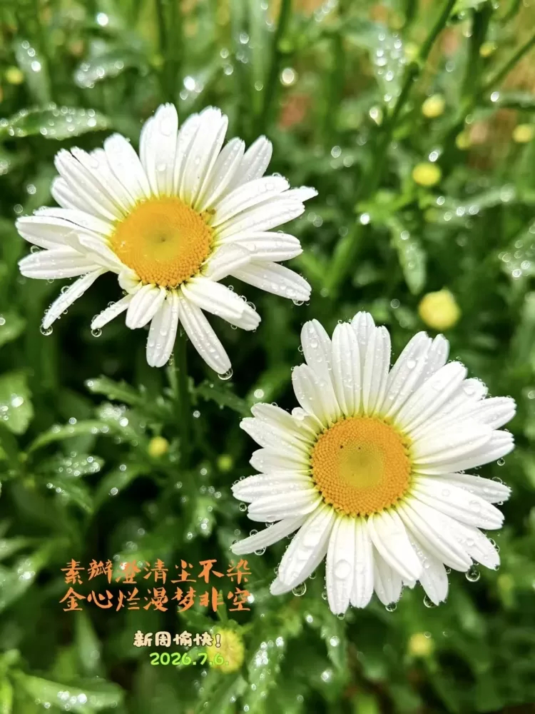 ΢��ͼƬ_20260706115809.webp