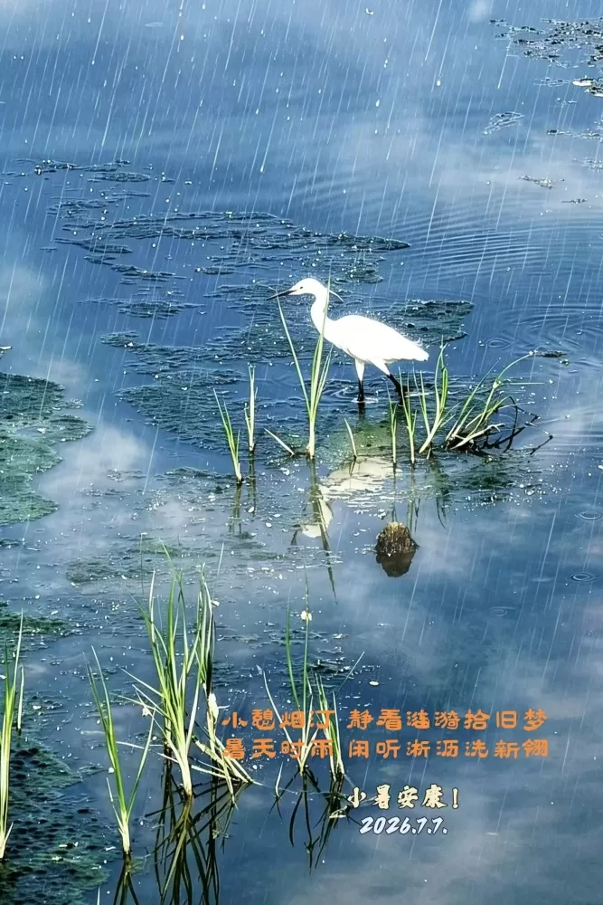 ΢��ͼƬ_20260707083314.webp