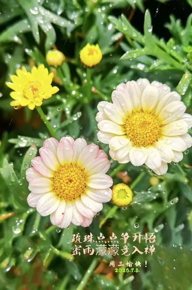 ΢��ͼƬ_20260708094548.webp