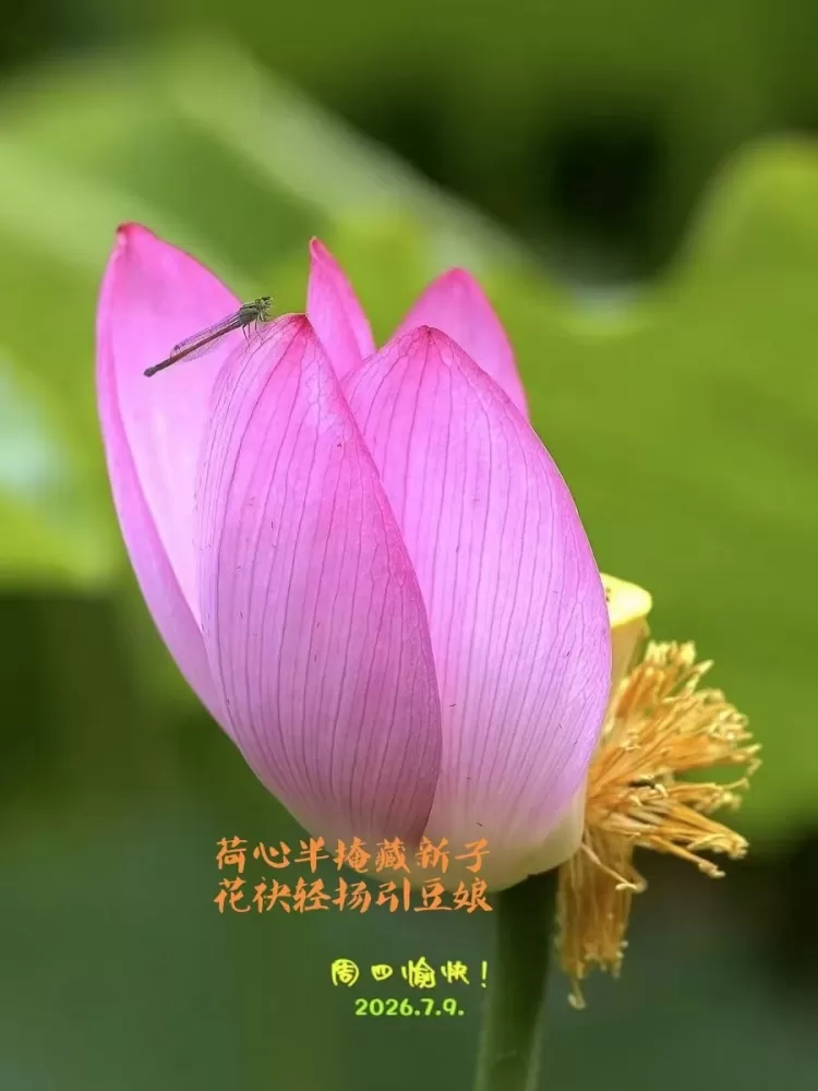 ΢��ͼƬ_20260709152113.webp