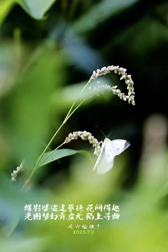 ΢��ͼƬ_20260711180405.webp