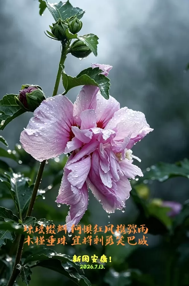 ΢��ͼƬ_20260713153129.webp