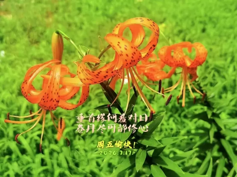 ΢��ͼƬ_20260717194349.webp