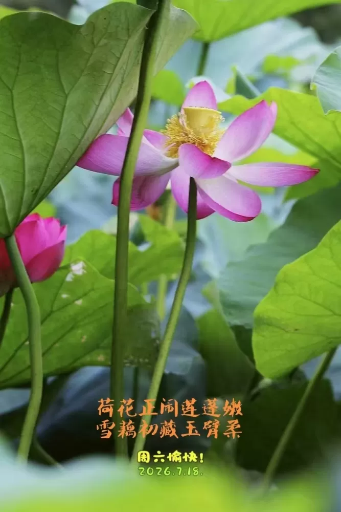 ΢��ͼƬ_20260718161454.webp