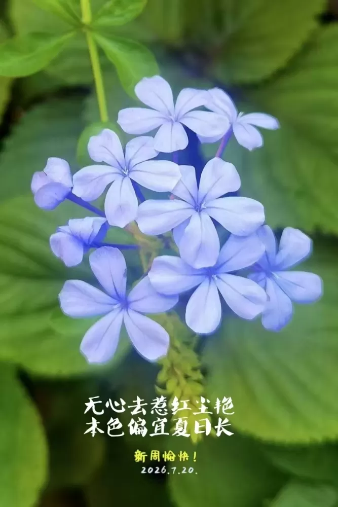 ΢��ͼƬ_20260720161651.webp