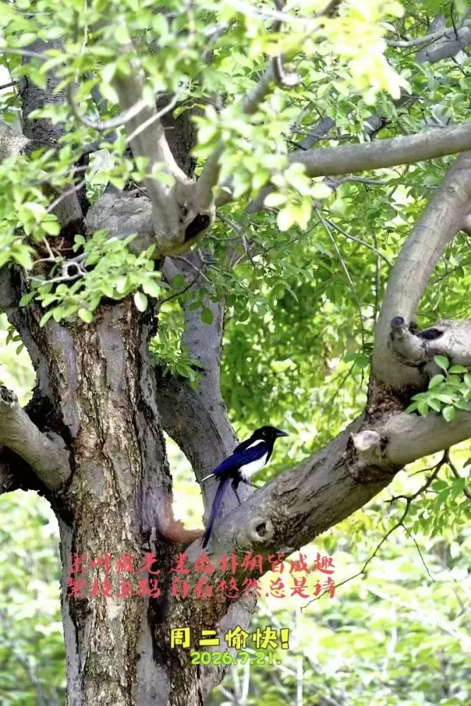΢��ͼƬ_20260721155420.webp