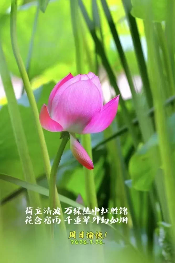 ΢��ͼƬ_20260726165600.webp