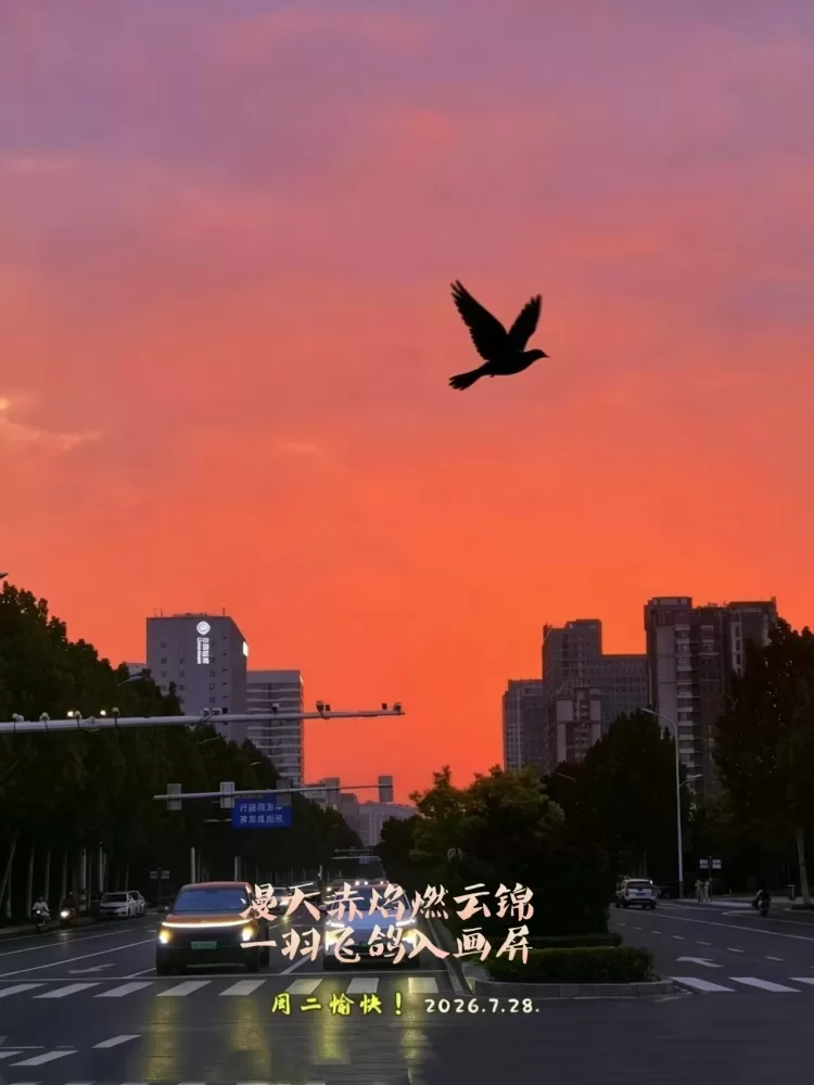 ΢��ͼƬ_20260728170422.webp