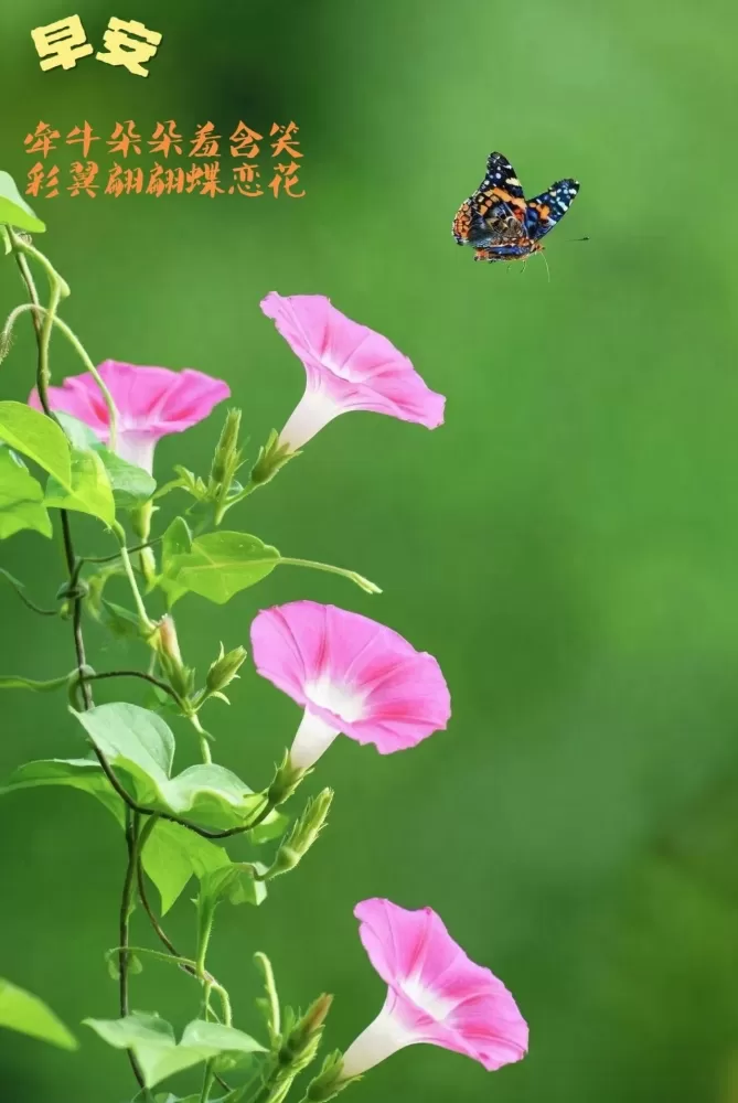 ΢��ͼƬ_20260729193831.webp