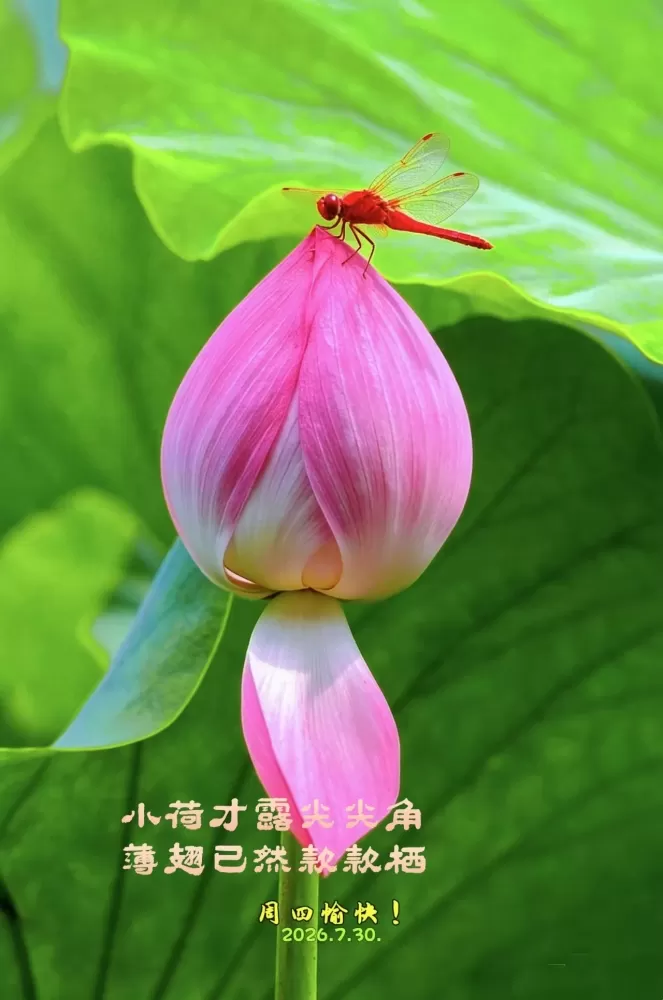 ΢��ͼƬ_20260731112247.webp