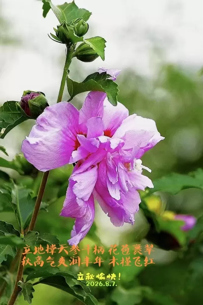΢��ͼƬ_20260807171328.webp