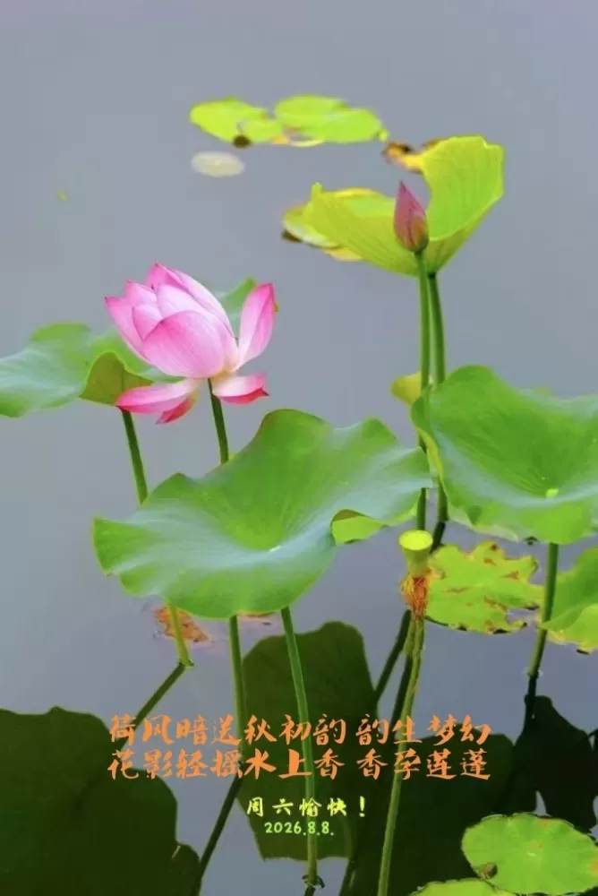 ΢��ͼƬ_20260808162213.webp