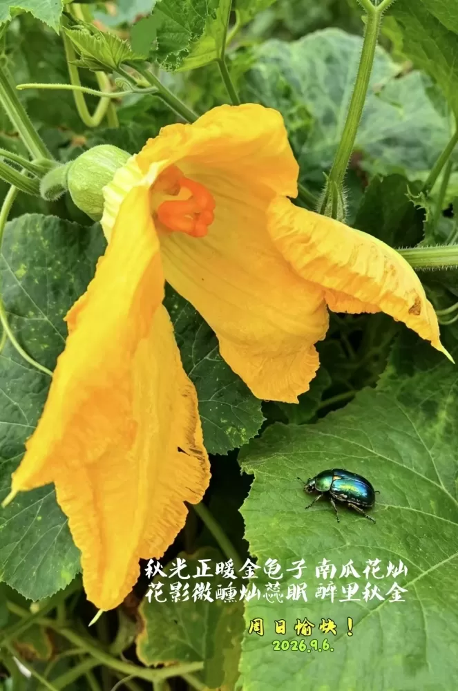 ΢��ͼƬ_20260906150928.webp