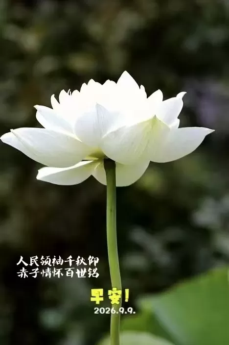 ΢��ͼƬ_20260909161650.webp