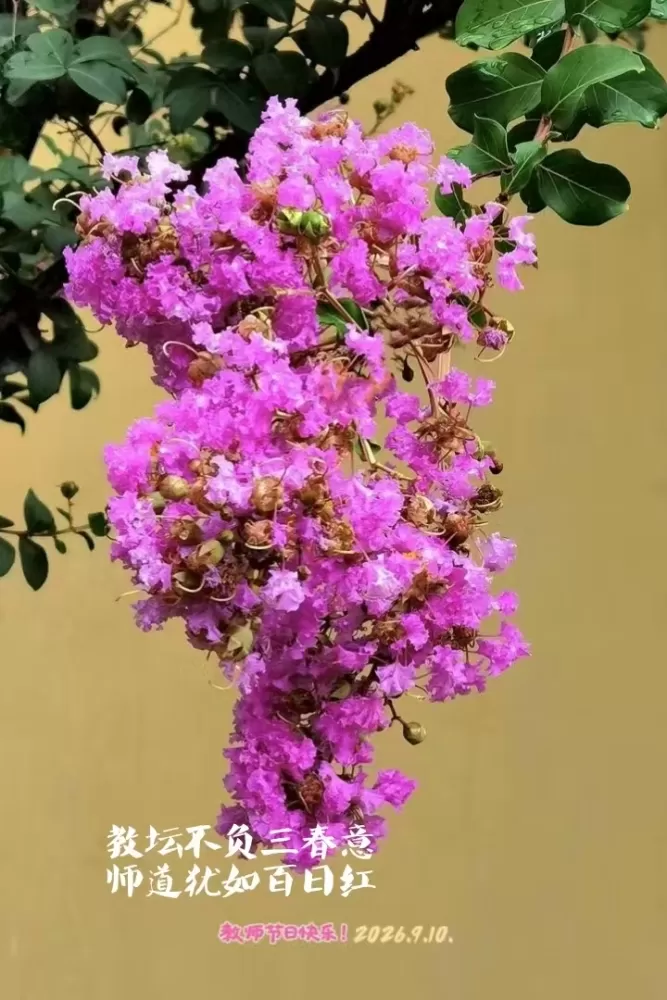 ΢��ͼƬ_20260910112853.webp